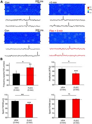 Flecainide induces a sustained countercurrent dependent effect on RyR2 in permeabilized WT ventricular myocytes but not in intact cells